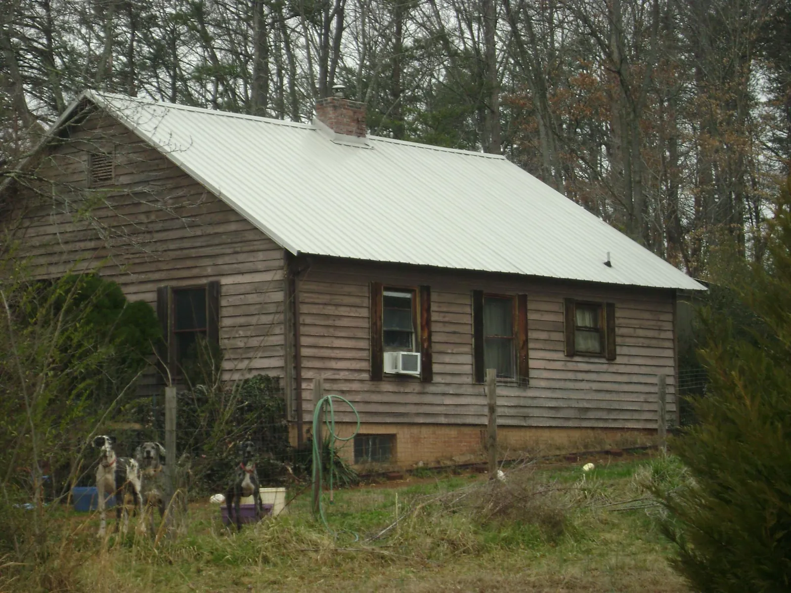 White metal roof on an old wood sided farmhouse, from a Asphalt Shingle Roof Repair job in Halstad